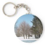 Winter Trees and Shrubs in Iowa