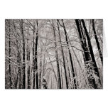 Winter trees card