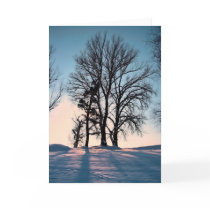 Winter trees on blue sky background greeting card