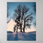 Winter trees on twilight blue sky background poster