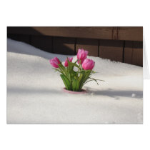 Winter Tulips in Snow Storm Greeting Card