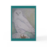 Winter Watch cards