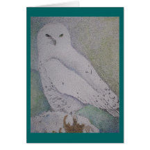 Winter Watch Greeting Cards