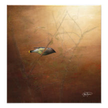 Winter Waxwing Photographic Art - Frame It! Fotografia