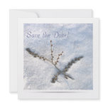 Winter Wedding Save the Date Custom Announcements