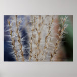 Winter Wheat 2