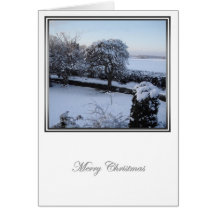 Winter Wonderland 1 Greeting Card