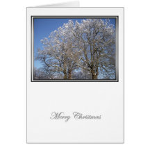 Winter Wonderland 2 Card