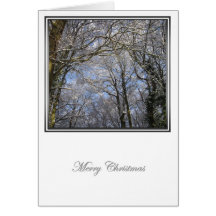 Winter Wonderland 3 Greeting Card