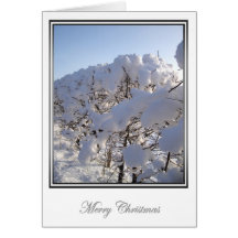 Winter Wonderland 4 Card