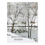 Winter Wonderland at Duck Pond Park Postcards