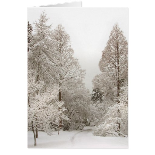 Winter Wonderland Cards Custom Christmas Cards