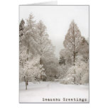 Winter Wonderland Cards Seasons Greetings Cards