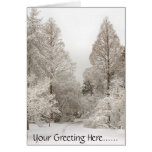 Winter Wonderland Cards Seasons Greetings Cards