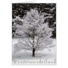 Winter wonderland greeting card