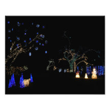 Winter Wonderland Lights Holiday Photo Print