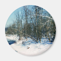 Winter Wonderland Magnet