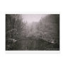 Winter Wonderland Post Card