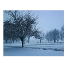 Winter Wonderland Postcard