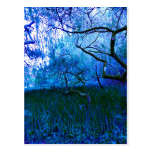 'Winter Wonderland" Postcards