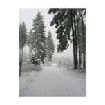 winter wood post card