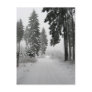 winter wood post card