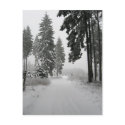 winter wood postcards