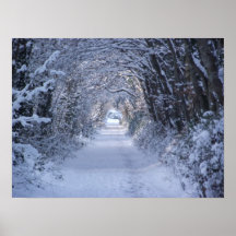 Winter Wooded Road Poster
