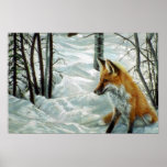 Winter woods, Fox Posters