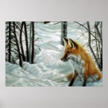 Winter woods, Fox Posters