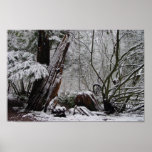 Winter's Art Posters