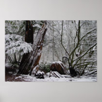 Winter's Art Posters