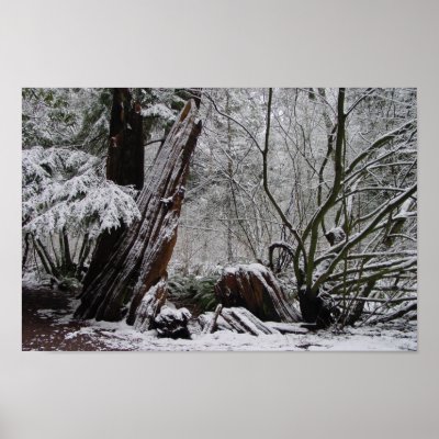Winter's Art Posters by kapulani
