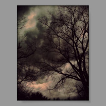 Winter's Cold Light art print posters