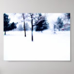 Winter's First Frost Posters