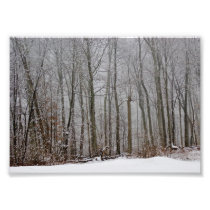 Winters Fog 7x5 Photographic Print