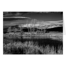 Winters Reflections Greeting Cards