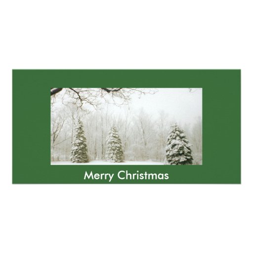 Winter's Trees Custom Photo Card
