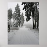 winterwald print