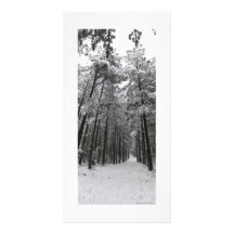 Wintery Christmas Photo Greeting Card