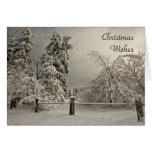 Wintry Snowy Trees - Greeting and Note Card