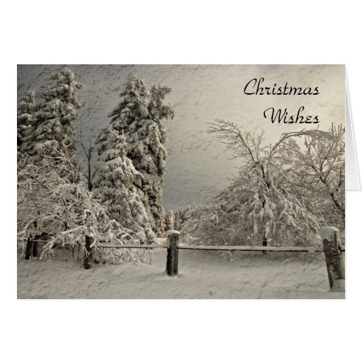 Wintry Snowy Trees - Greeting and Note Card