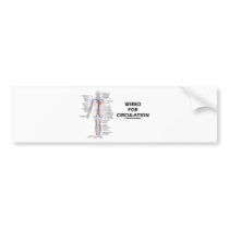 Wired For Circulation (Circulatory System)