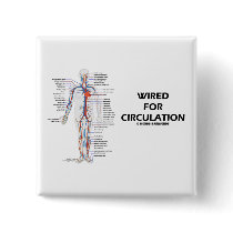 Wired For Circulation (Circulatory System)