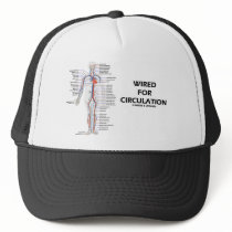Wired For Circulation (Circulatory System)