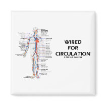 Wired For Circulation (Circulatory System)