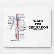 Wired For Circulation (Circulatory System)