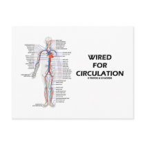 Wired For Circulation (Circulatory System)