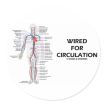 Wired For Circulation (Circulatory System)