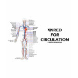 Wired For Circulation (Circulatory System) t-shirts